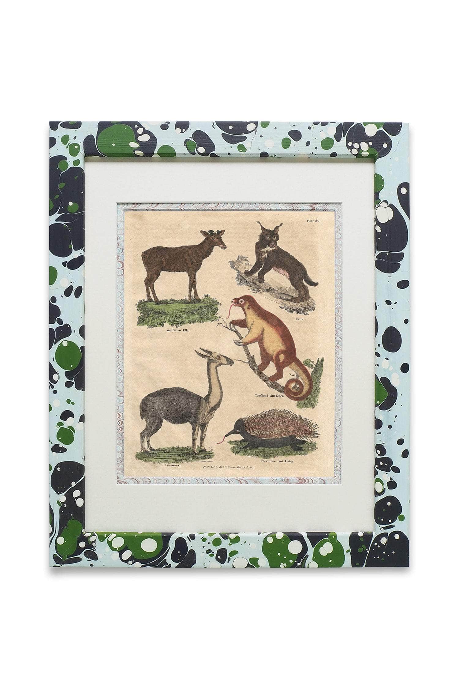 Buffon No.34 Glacier Framed Print