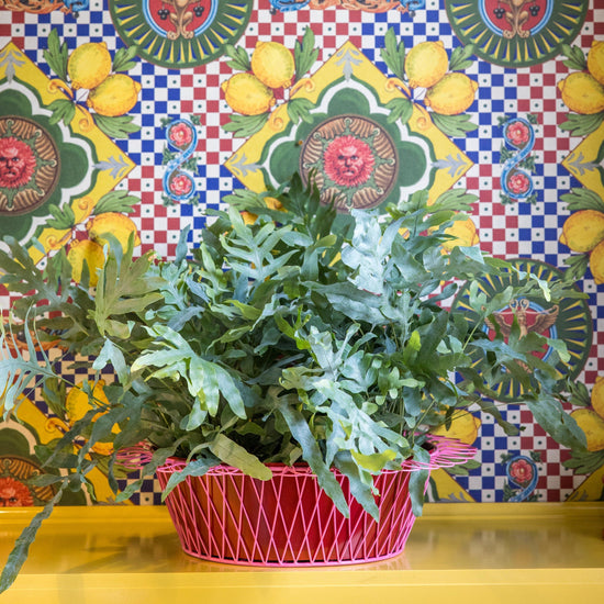 Wire Basket Planter | Ruby Red and Candy Pink