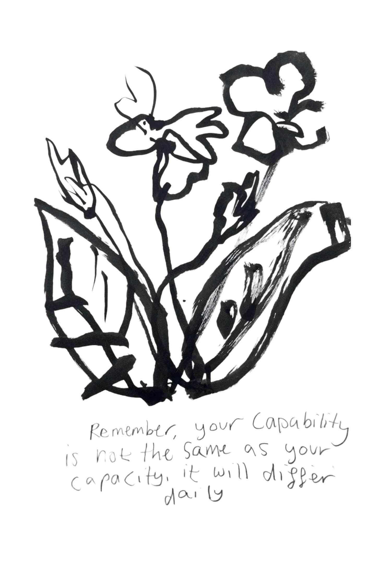Limited Edition Your Capability and Capacity