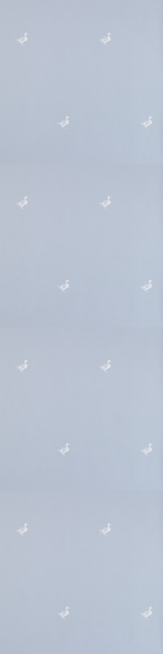 Ducks In A Row Wallpaper – BLUEBIRD