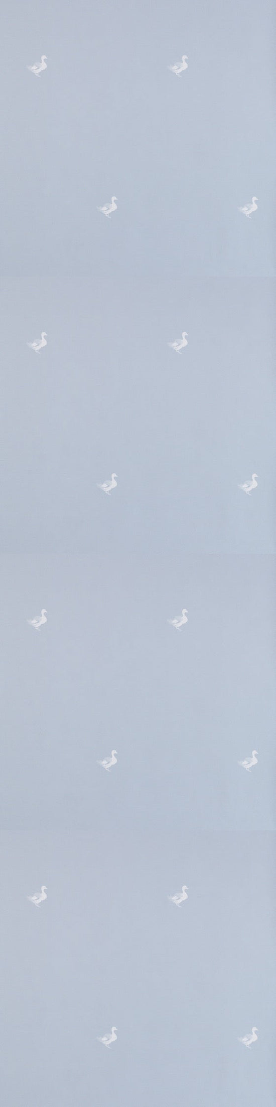 Ducks In A Row Wallpaper – BLUEBIRD