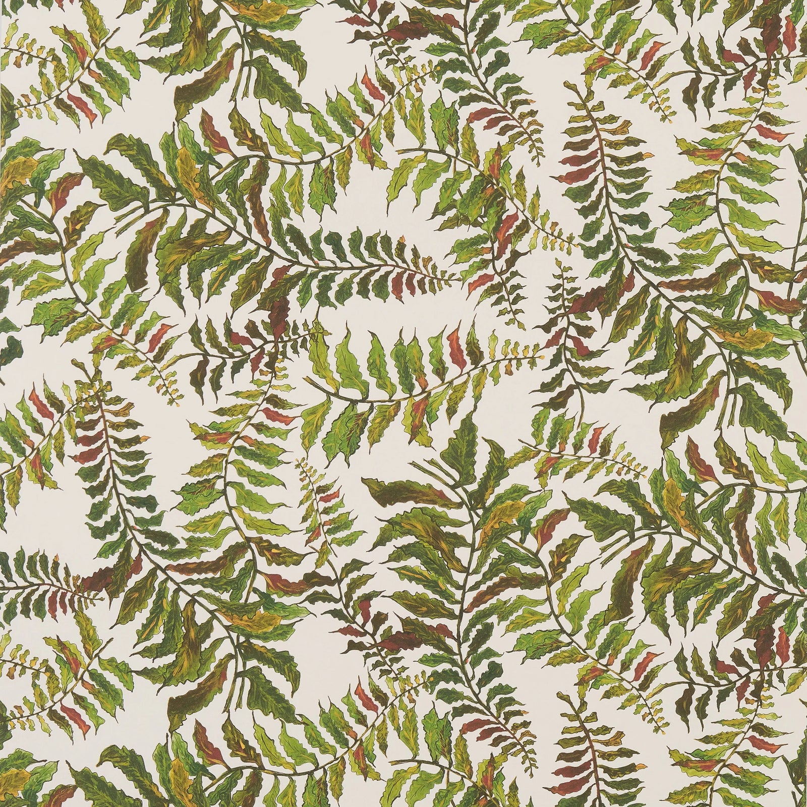 Fern Wallpaper - Off White Wallpaper