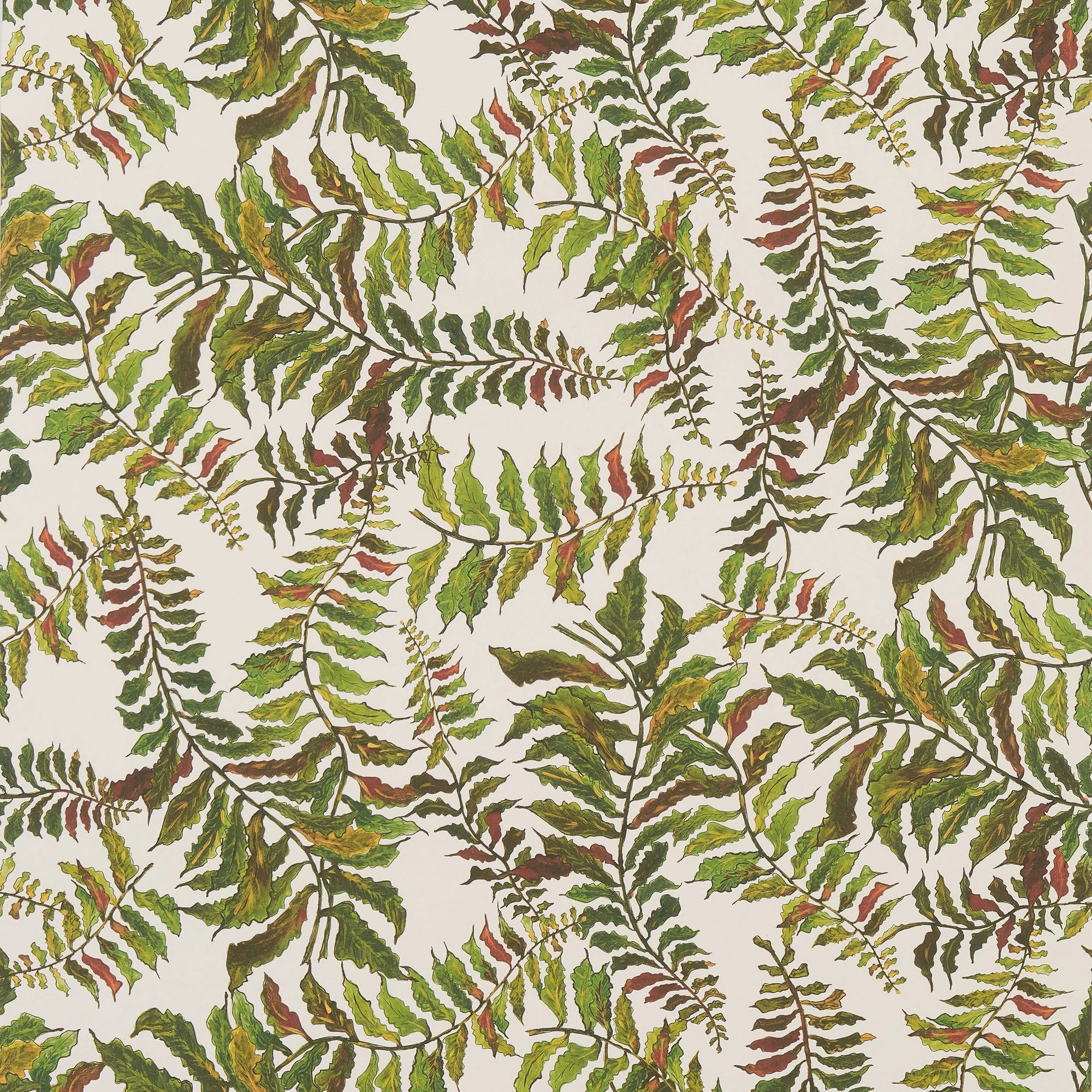 Fern Wallpaper - Off White Wallpaper