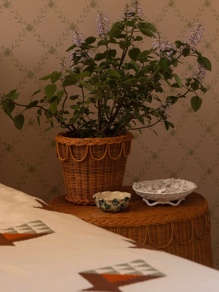 Pinet Plant Pot