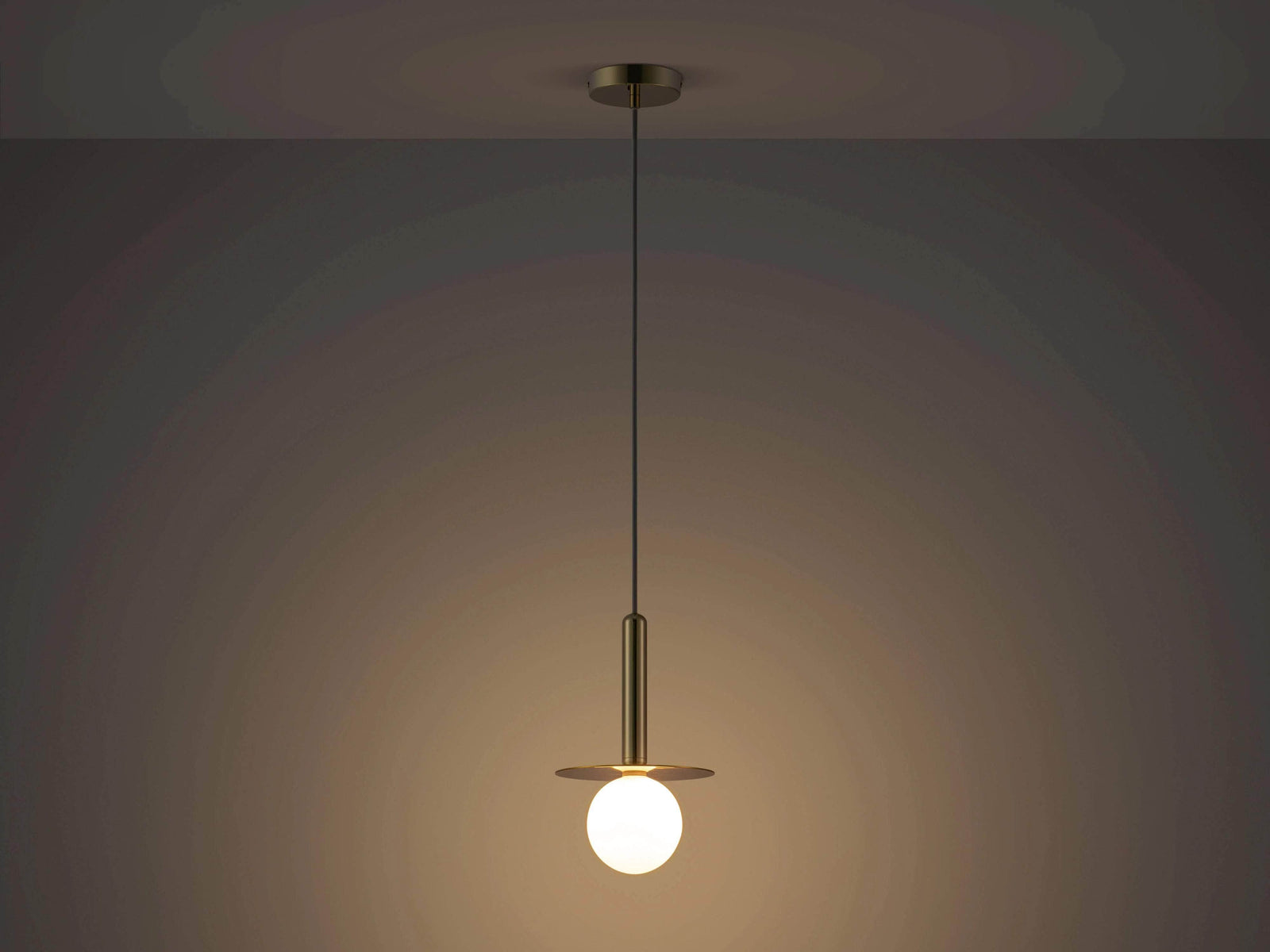 Brass Plate Pendant Ceiling Light