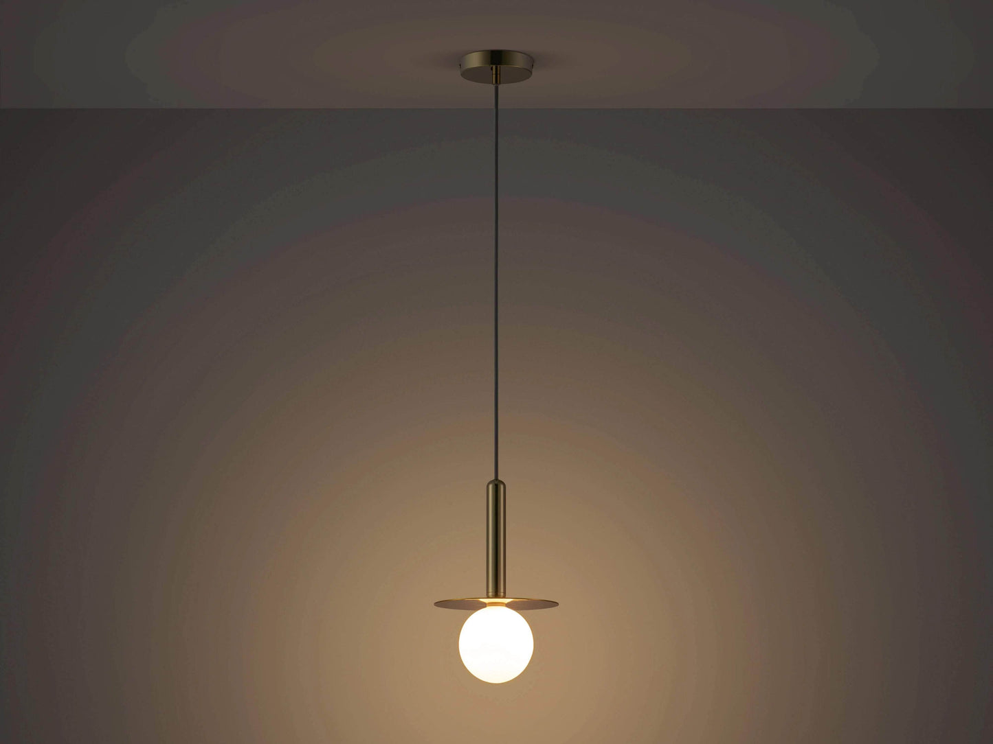 Brass Plate Pendant Ceiling Light