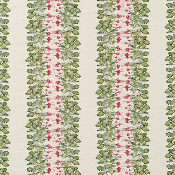 Radish Stripe Fabric