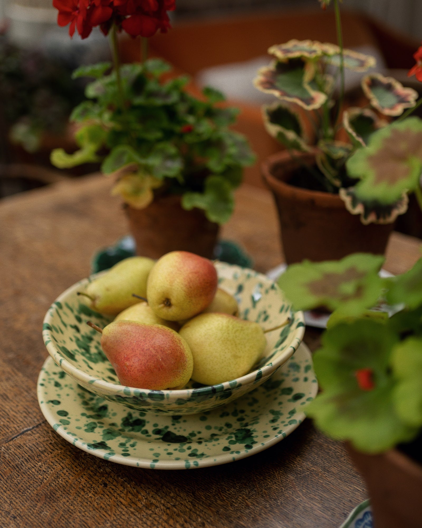 Splatter Dinner Plate (Set of 4)