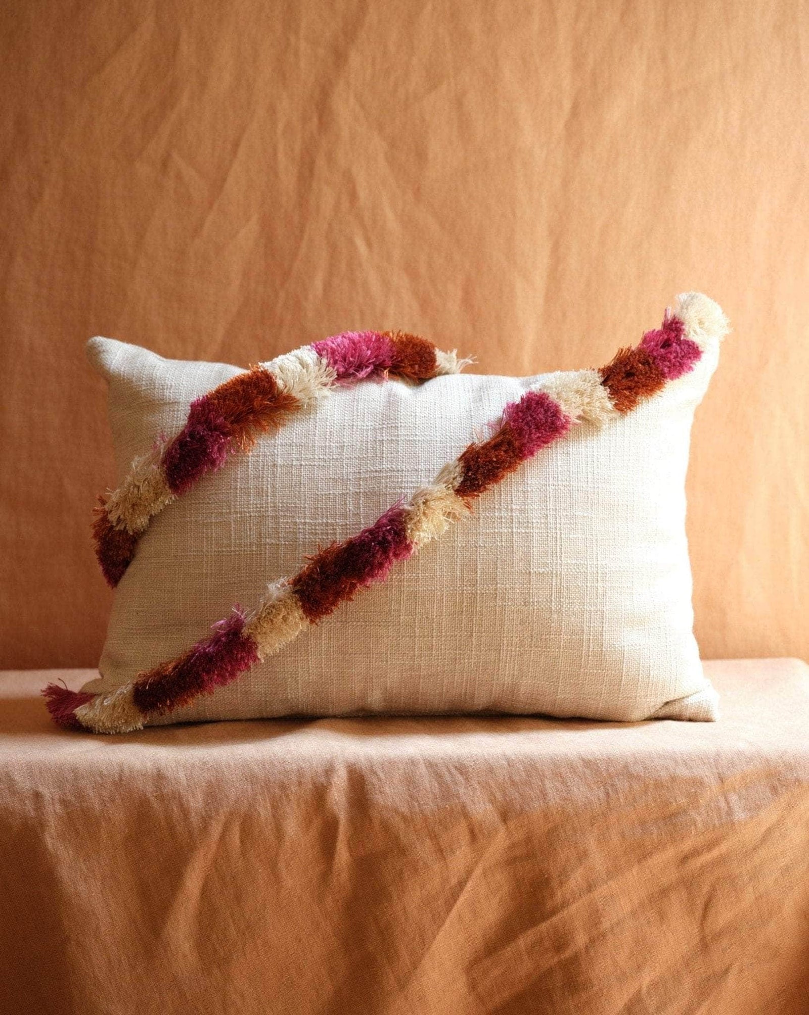 Pillow with Brush Fringe Trim