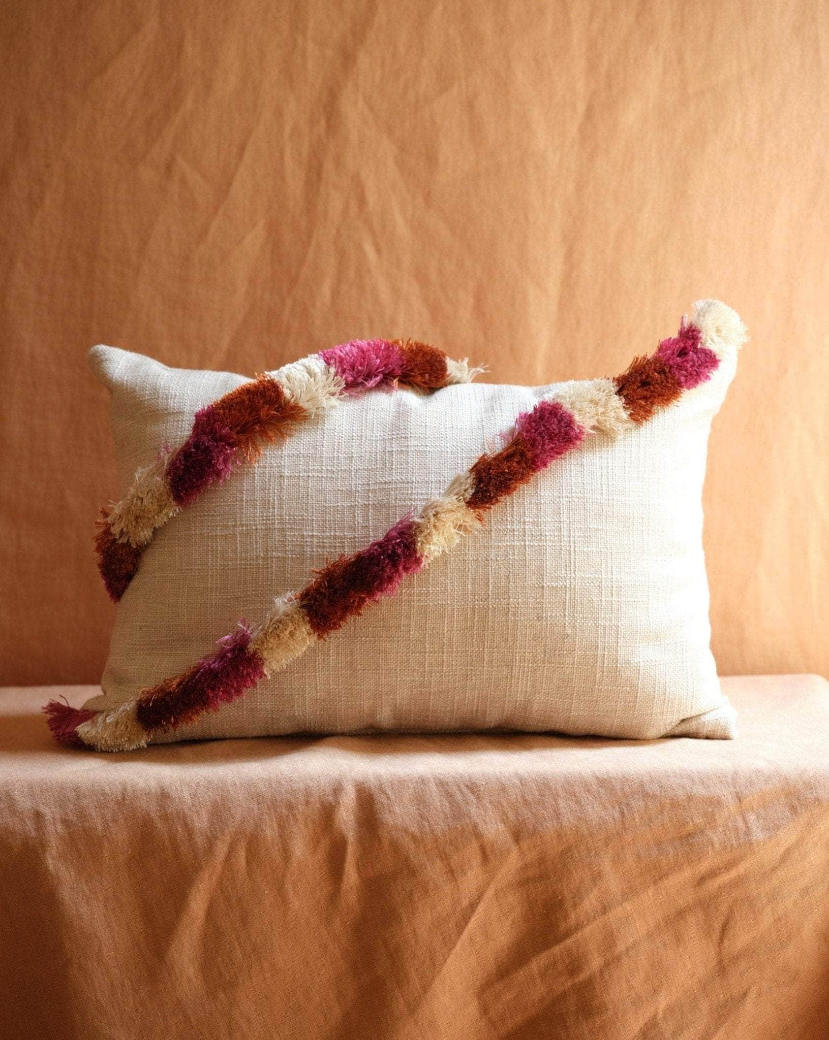 Pillow with Brush Fringe Trim