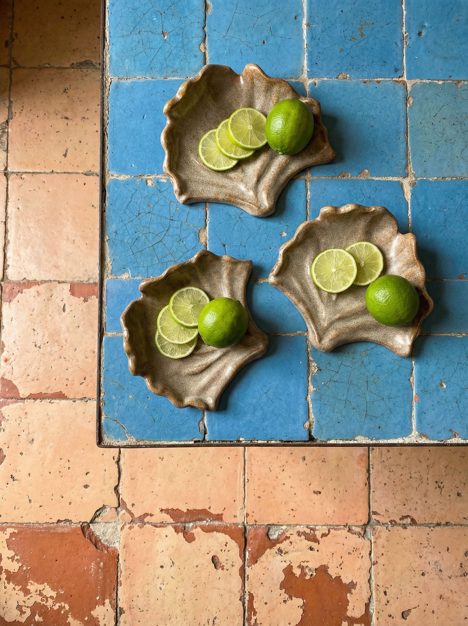 Ceramics Shell 01