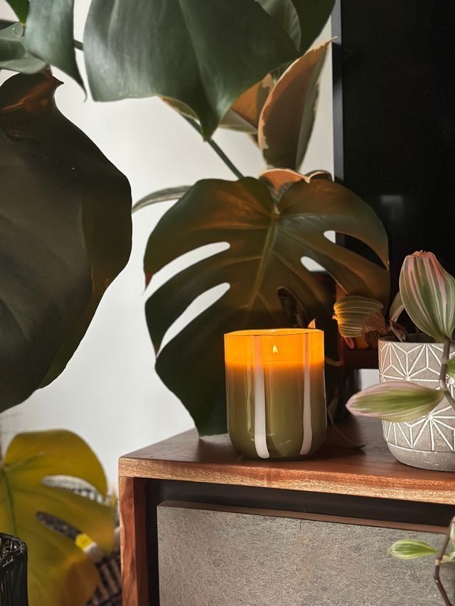 Atina Candle | Fresh Olive & Lemon Scented Candle