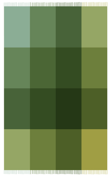 Handwoven  Woolen Throw – 48x76 in