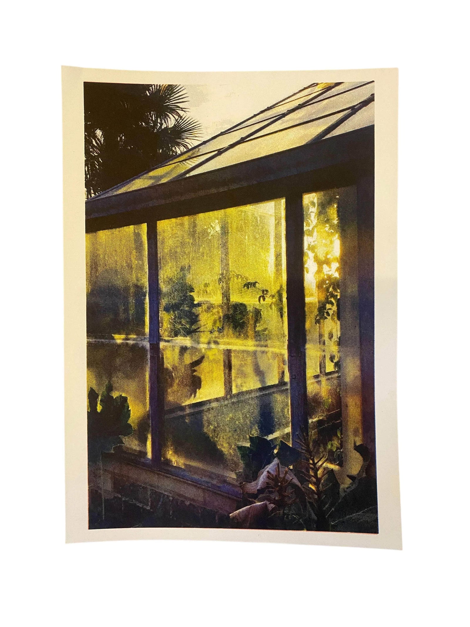 Glasshouse at Sunset A4 Risograph
