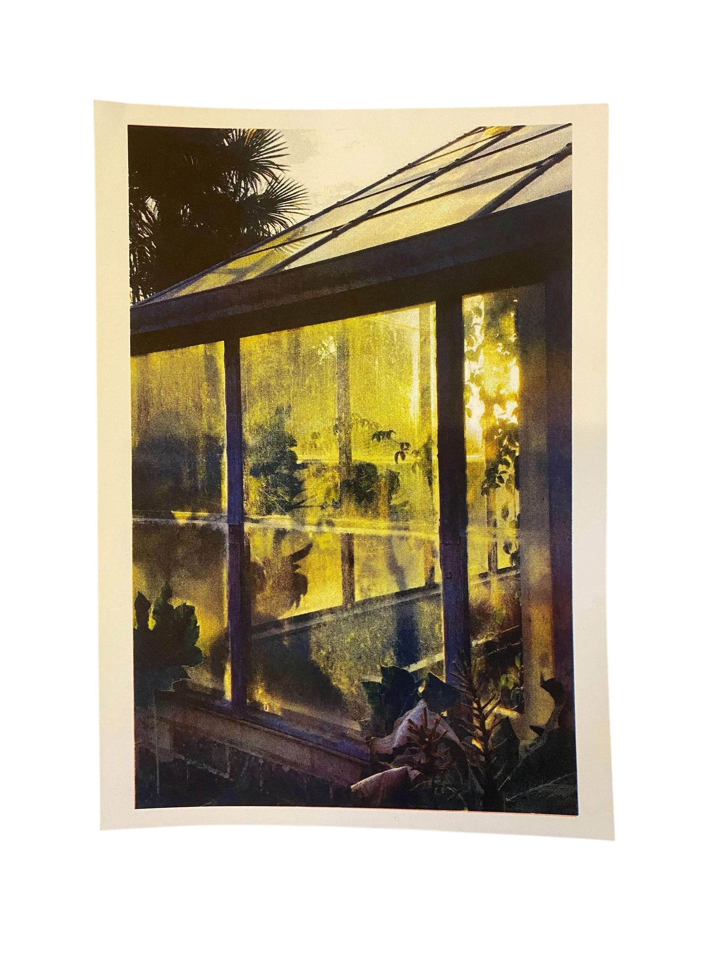 Glasshouse at Sunset A4 Risograph