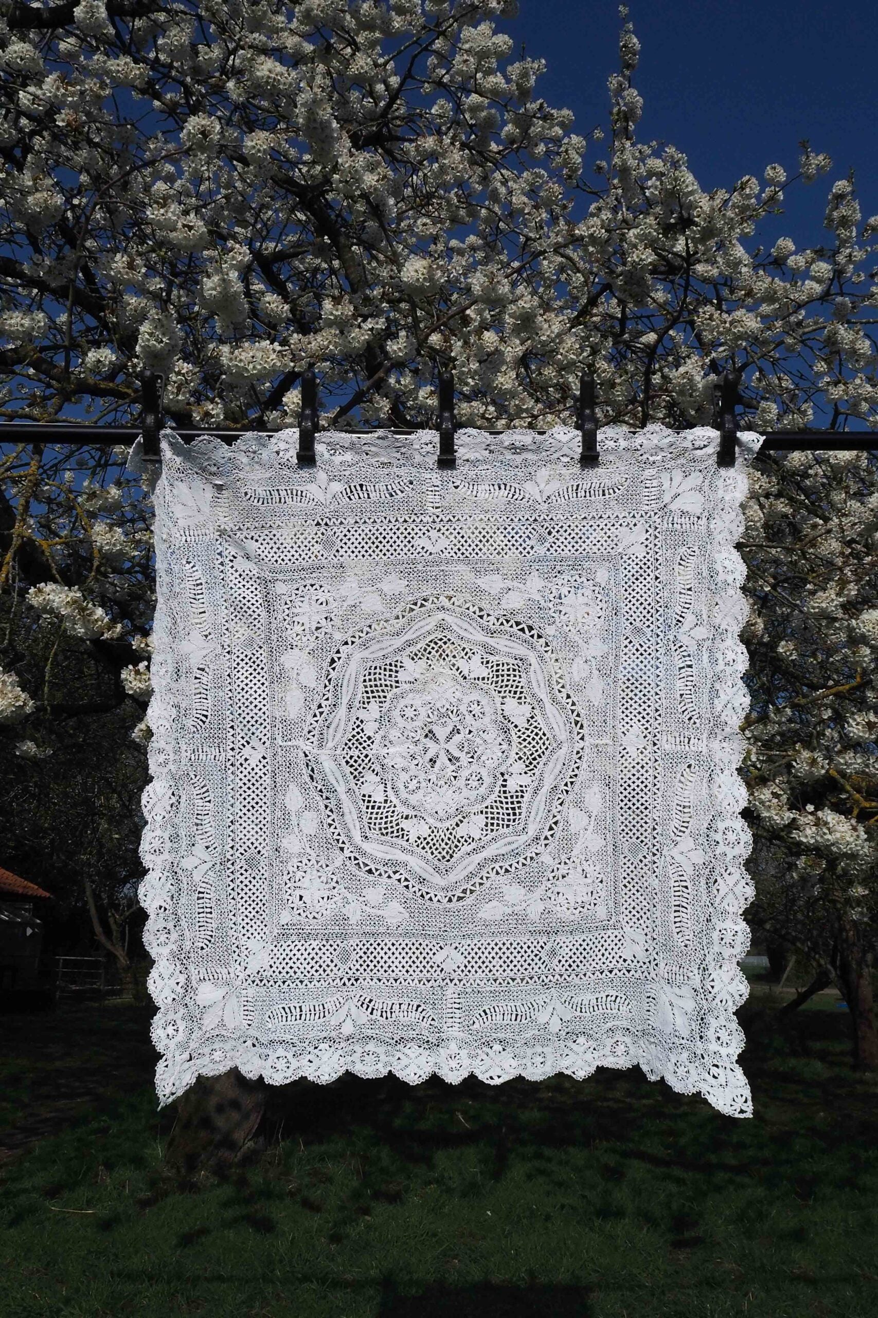 Antique Lace Tablecloth