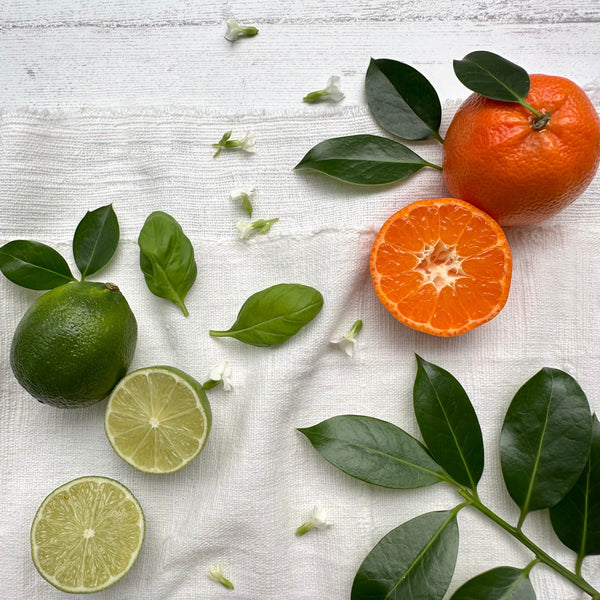 Grey Coffee Cup Candle - Lime, Basil + Mandarin