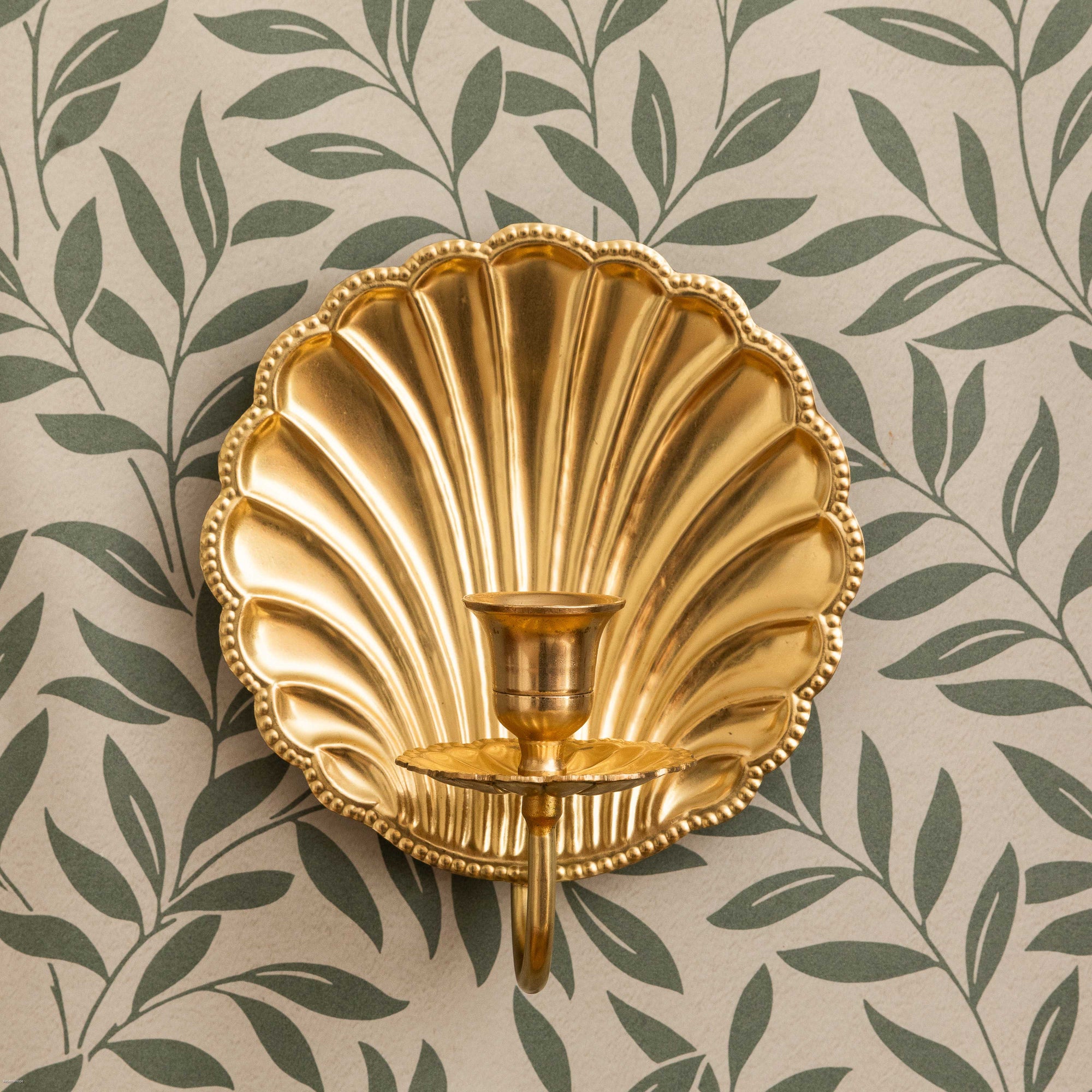 Shell Brass Wall Sconce Single (Chrome)