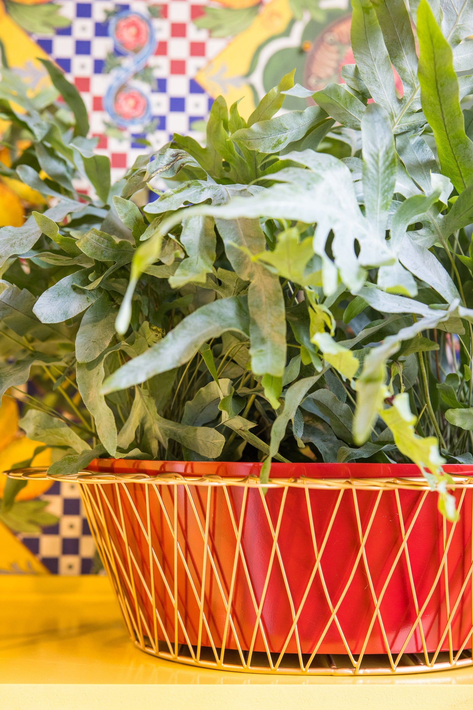 Wire Basket Planter | Cherry Red & Gold