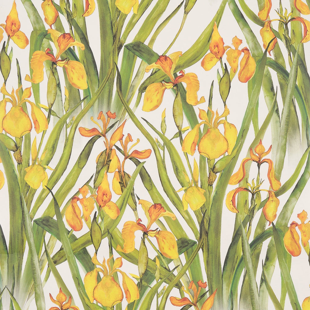 Wild Iris Large Wallpaper