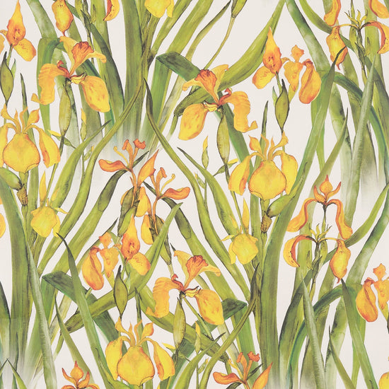 Wild Iris Large Wallpaper