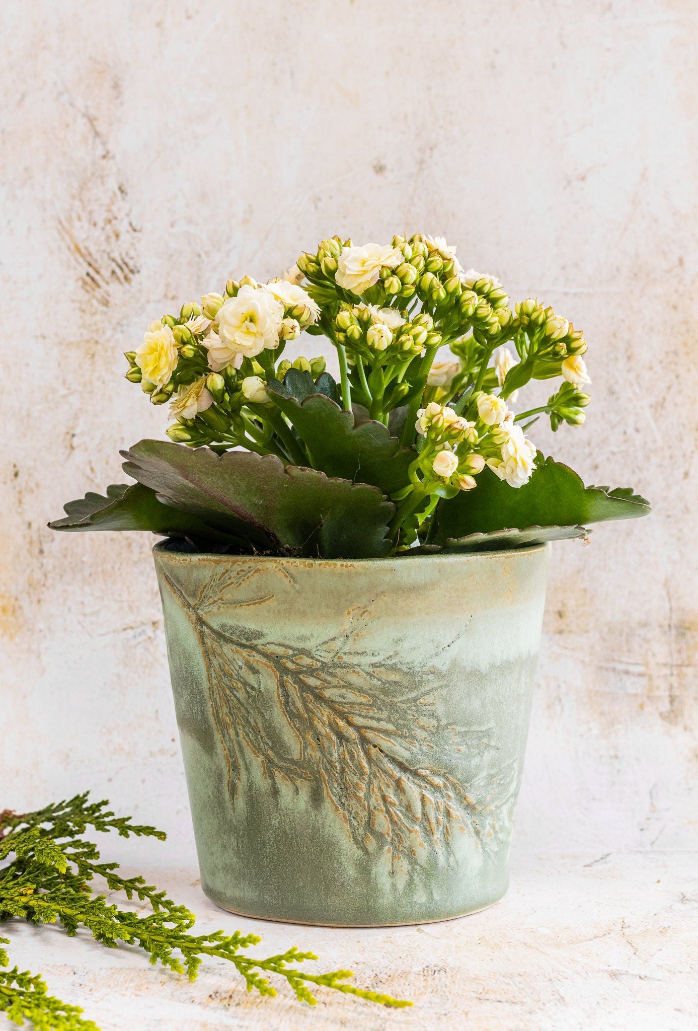 Hall Park Large Plant Pot