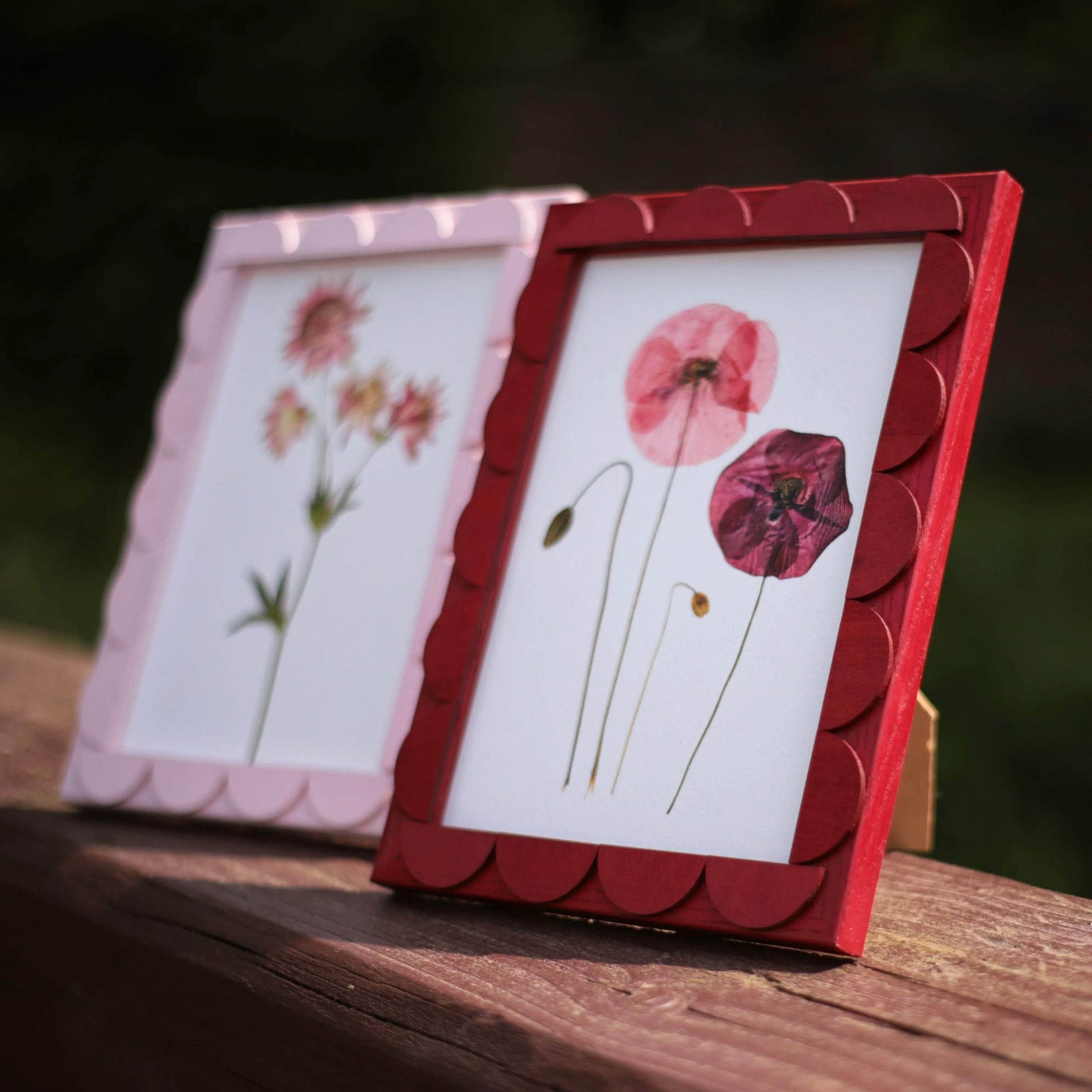 Cranberry Stained Scallop Frame