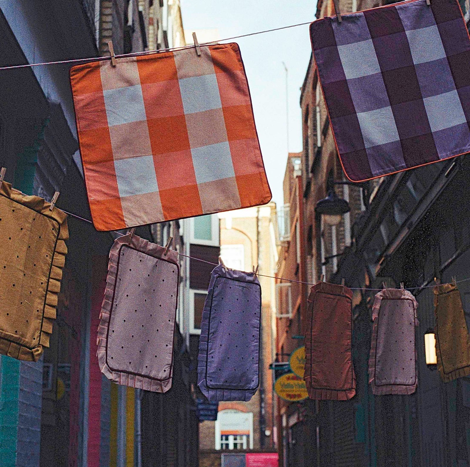 Cosmos Check Cushion, Fig