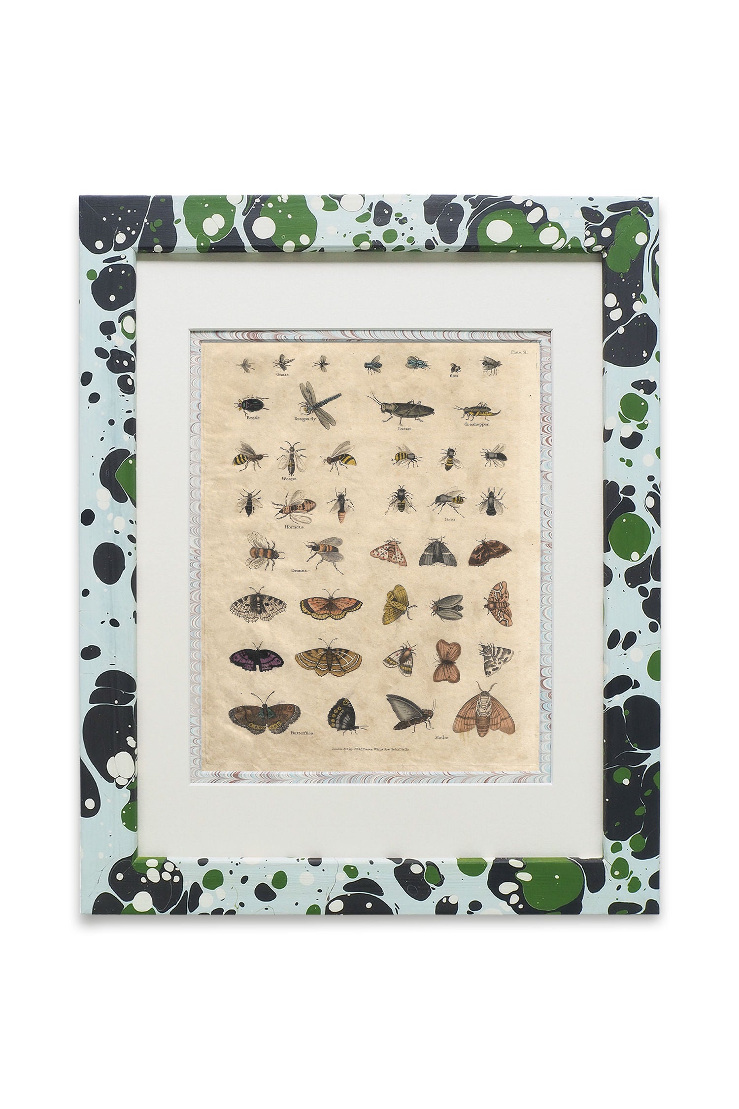Buffon No.51 Glacier Framed Print
