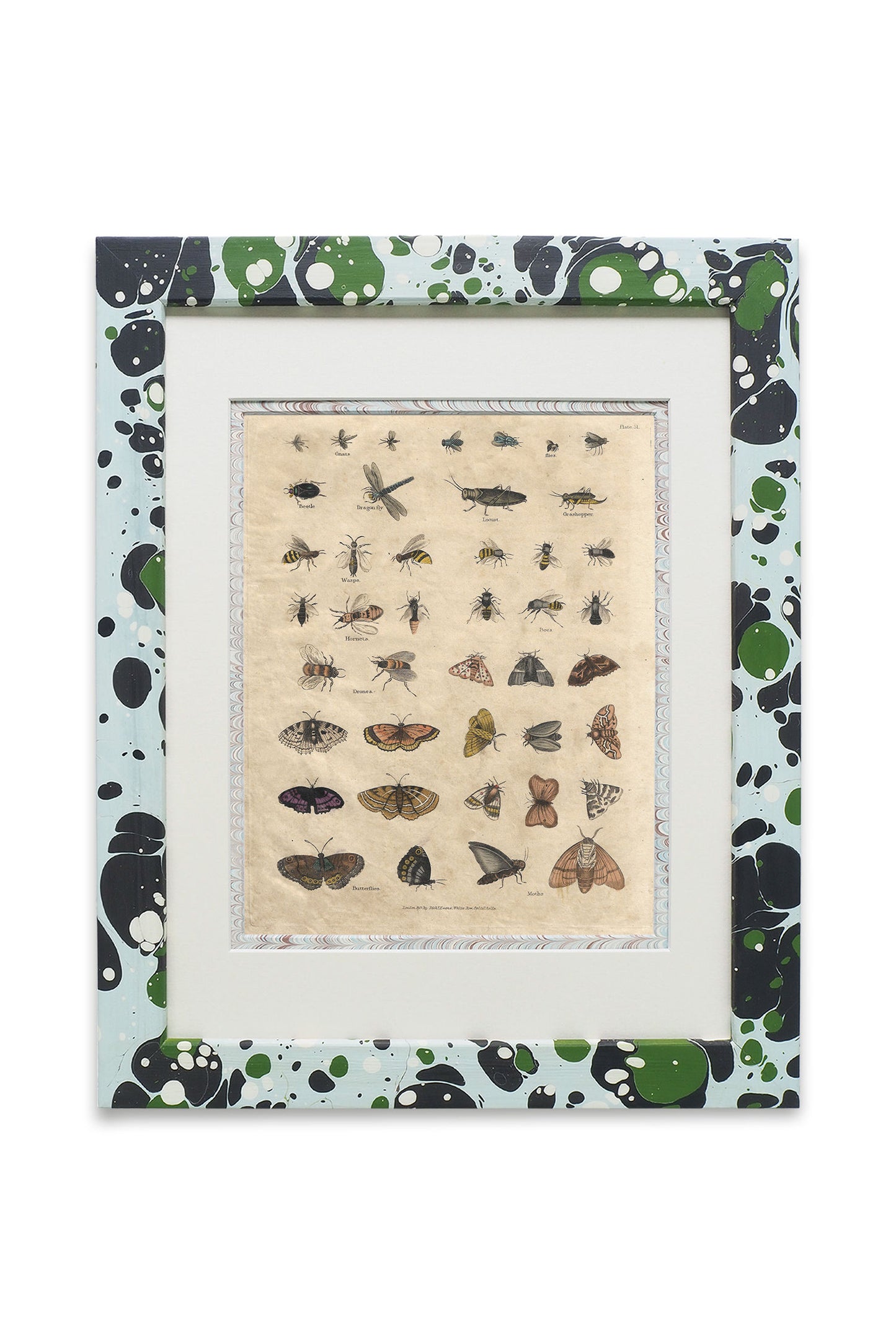 Buffon No.51 Glacier Framed Print