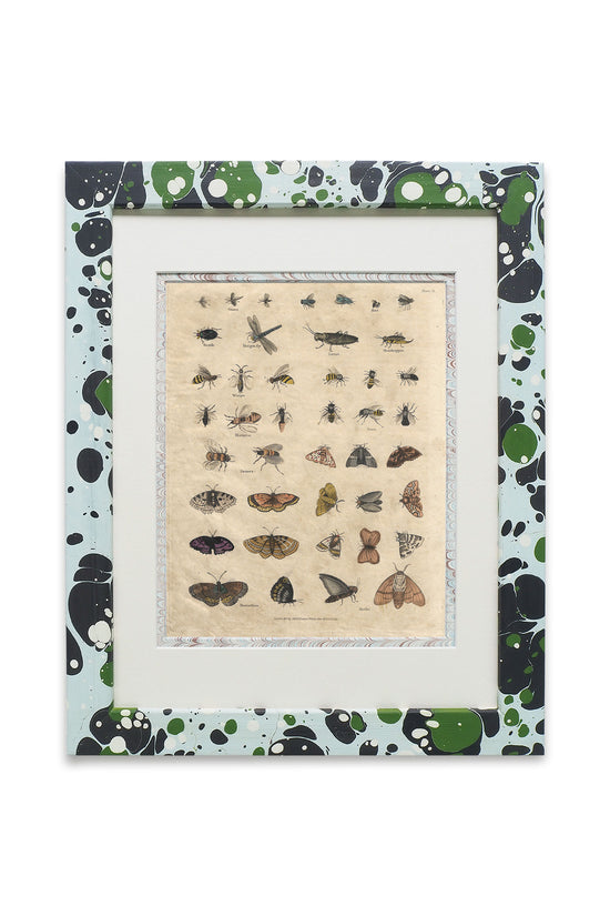 Buffon No.51 Glacier Framed Print