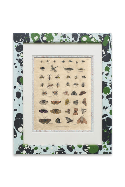Buffon No.51 Glacier Framed Print