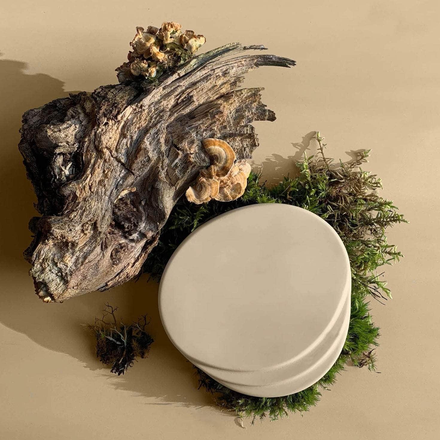 Coasters - Sandstone