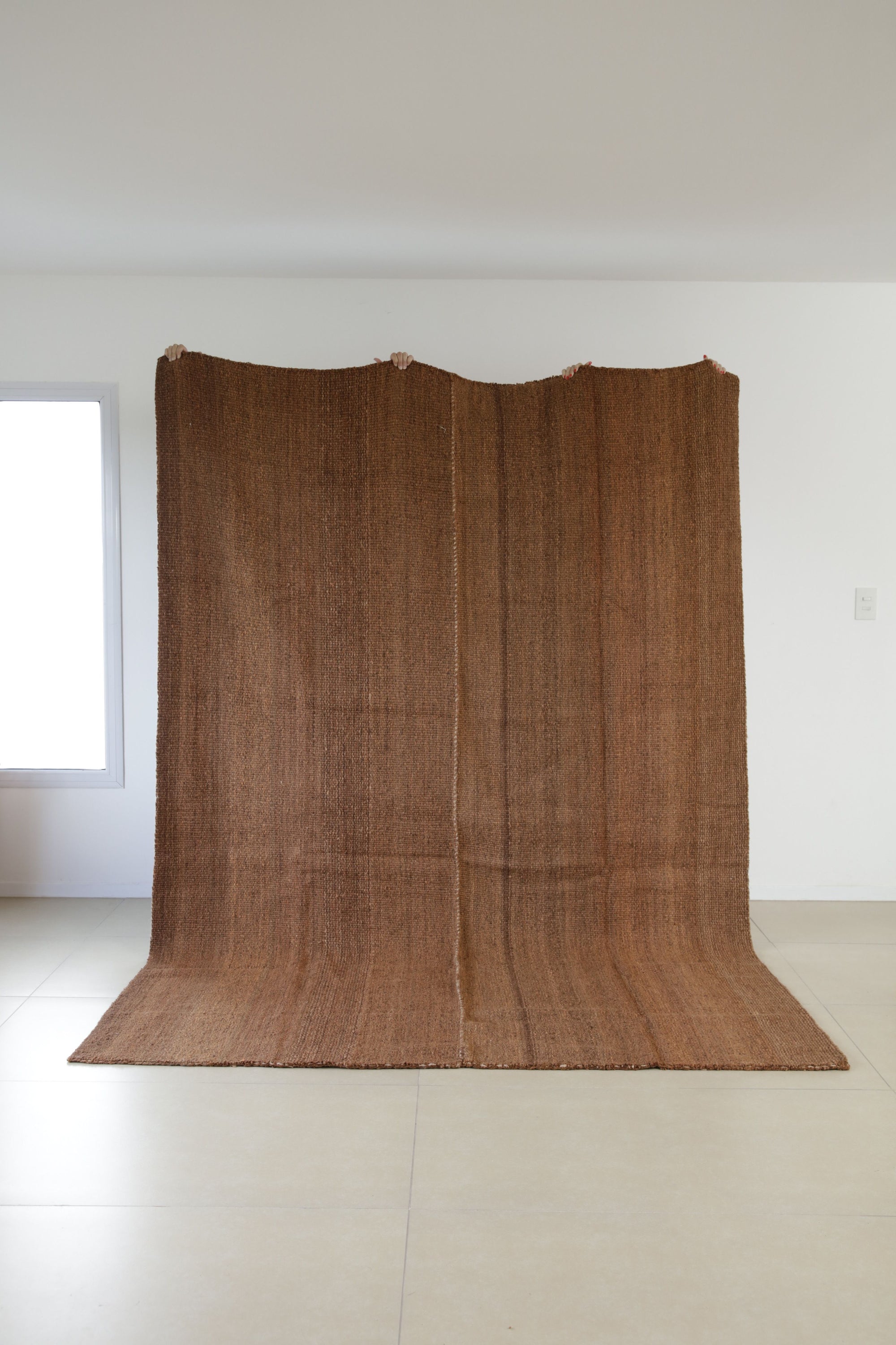 Tomasa Handwoven Rug