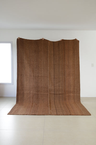 Tomasa Handwoven Rug