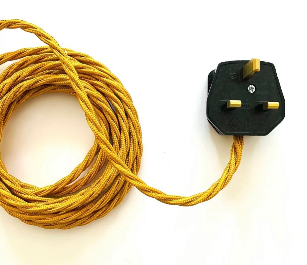 Large Antique French Confit Jar Lamp