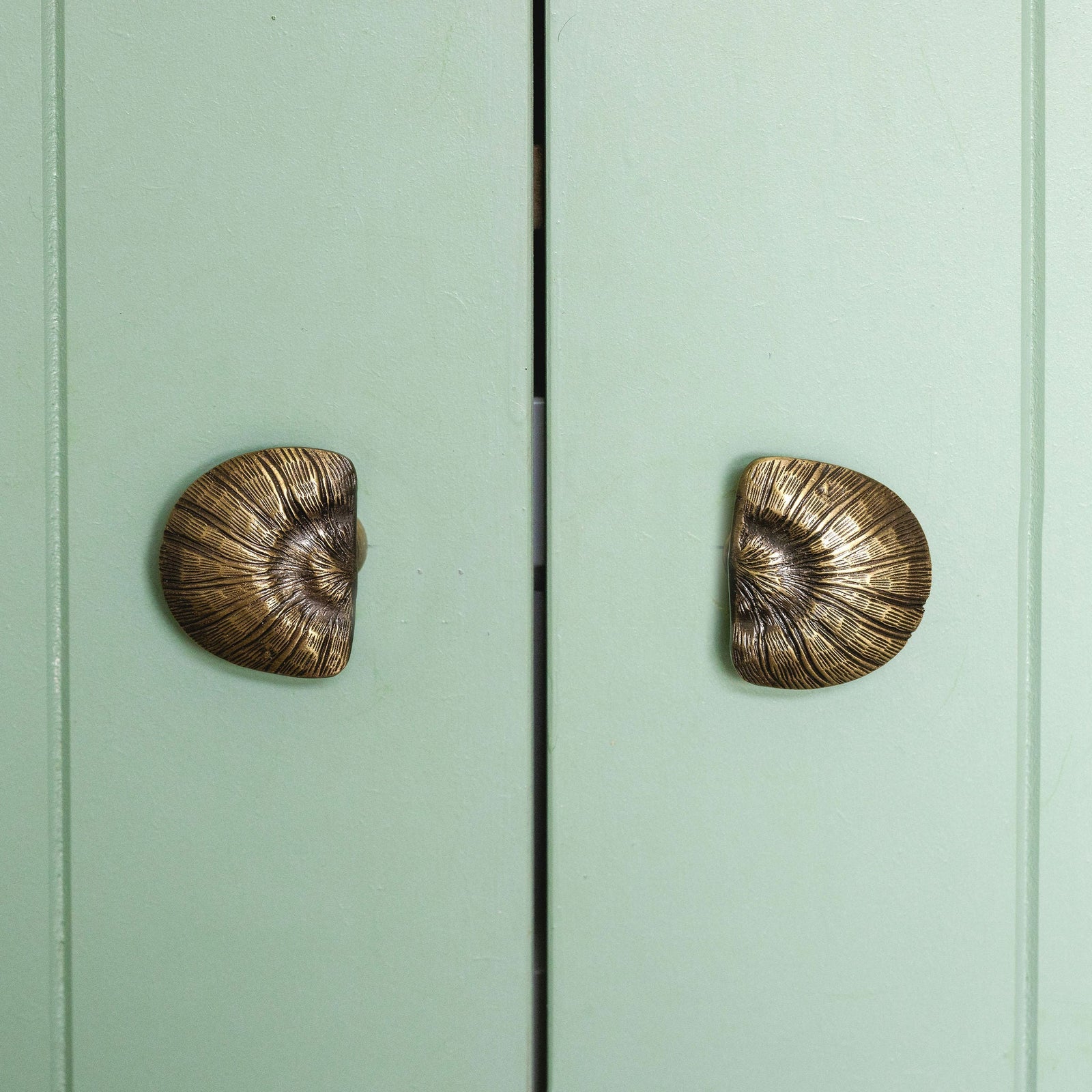 Cove Shell Knob, Antique Brass
