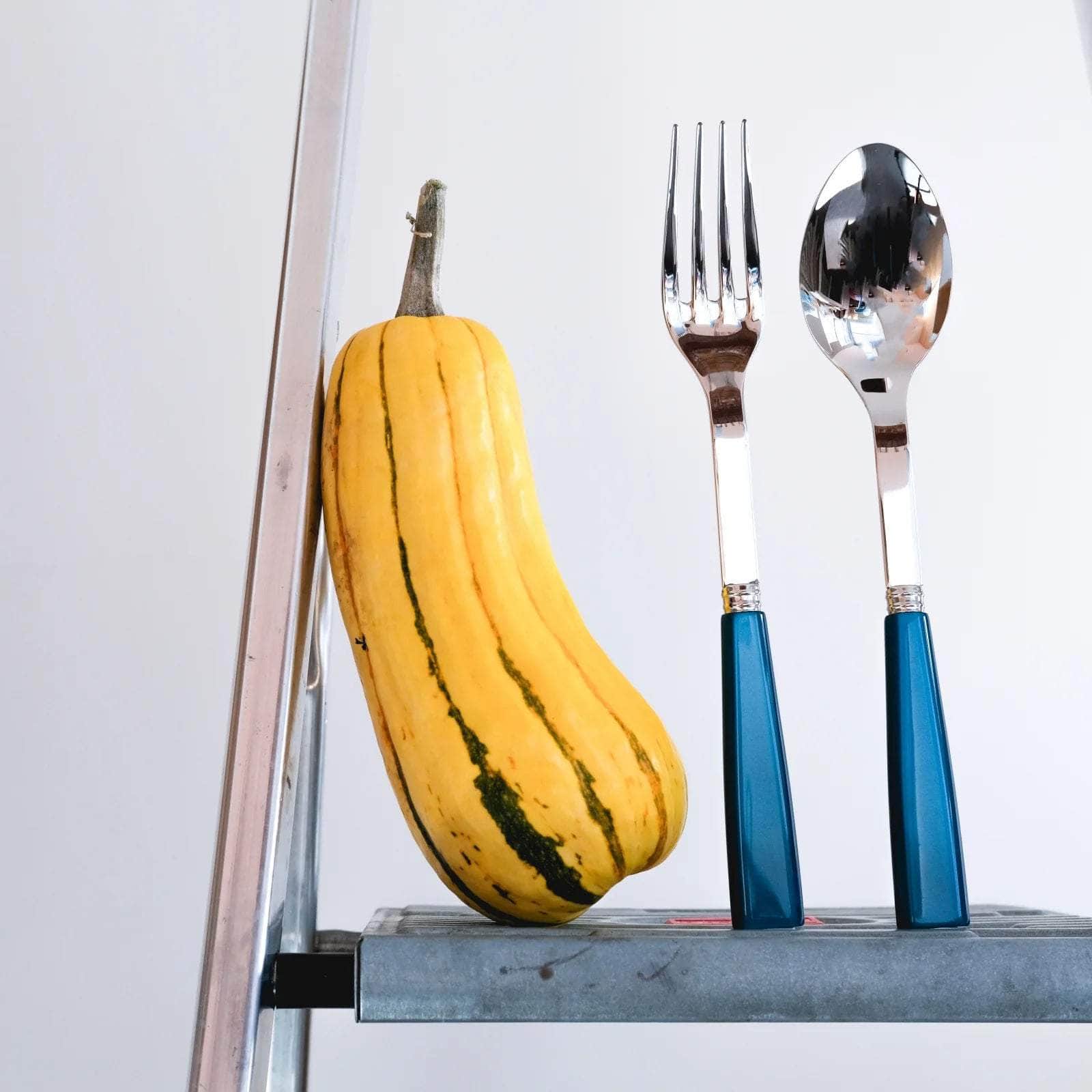 Icône Meat Server, Turquoise