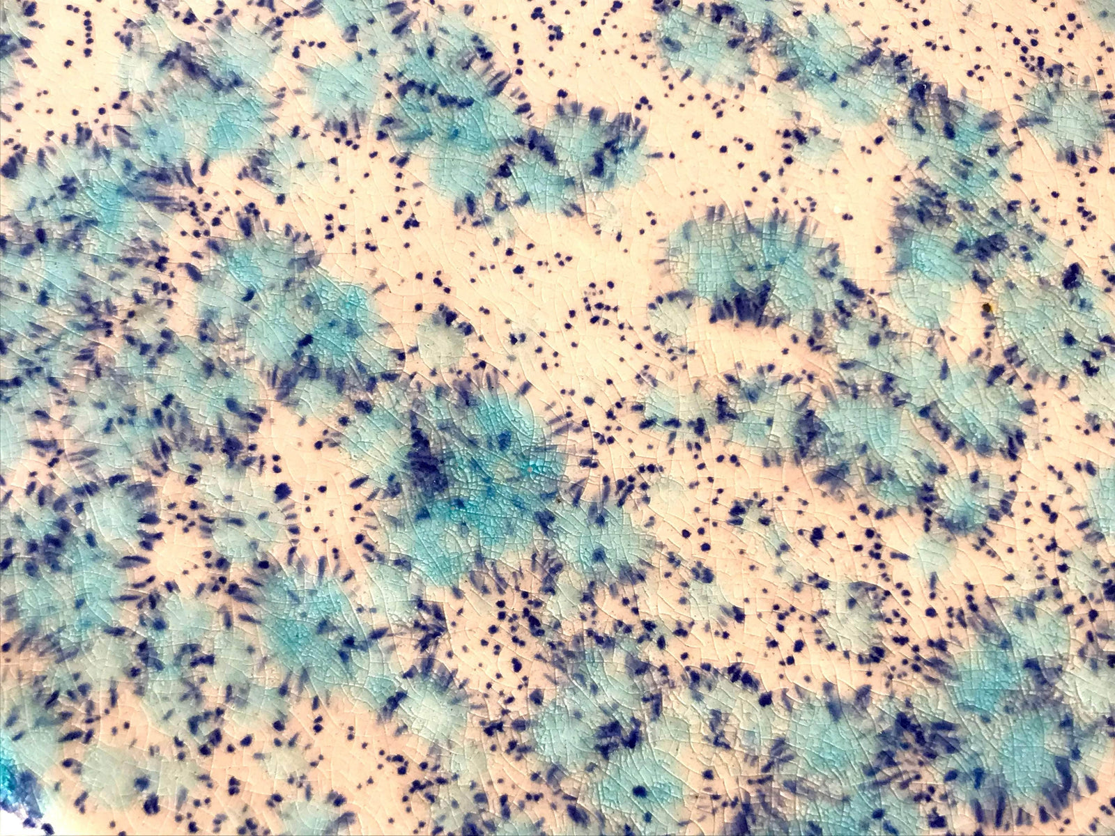 Minty Pink Galaxy Flat Plate