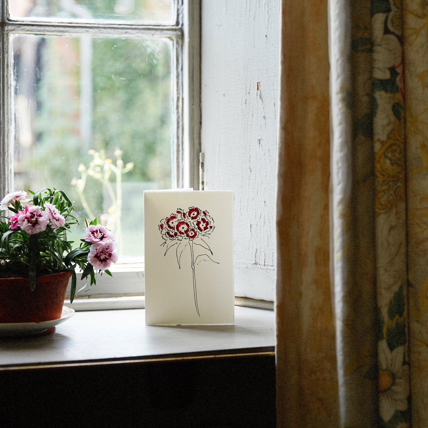 Charleston Notecards Box Set