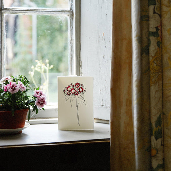 Charleston Notecards Box Set