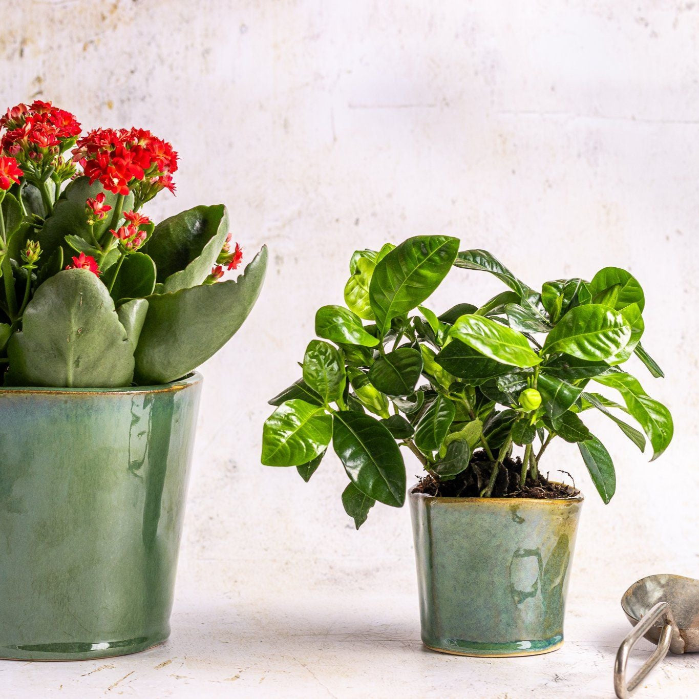 Millfileld Large Plant Pot