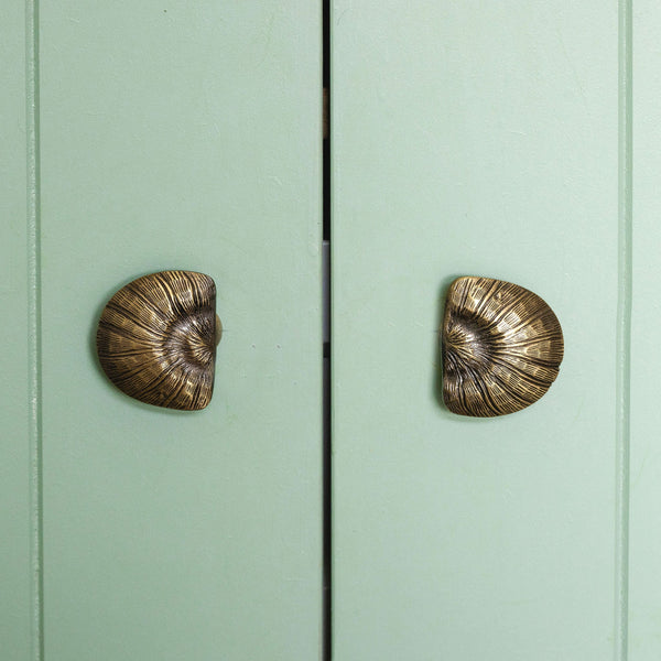 Cove Shell Knob, Lacquered Brass