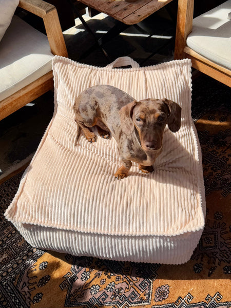 Canela Bed - Beige