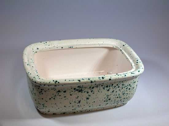 Butter Dish with Lid - Speckled Green Glaze
