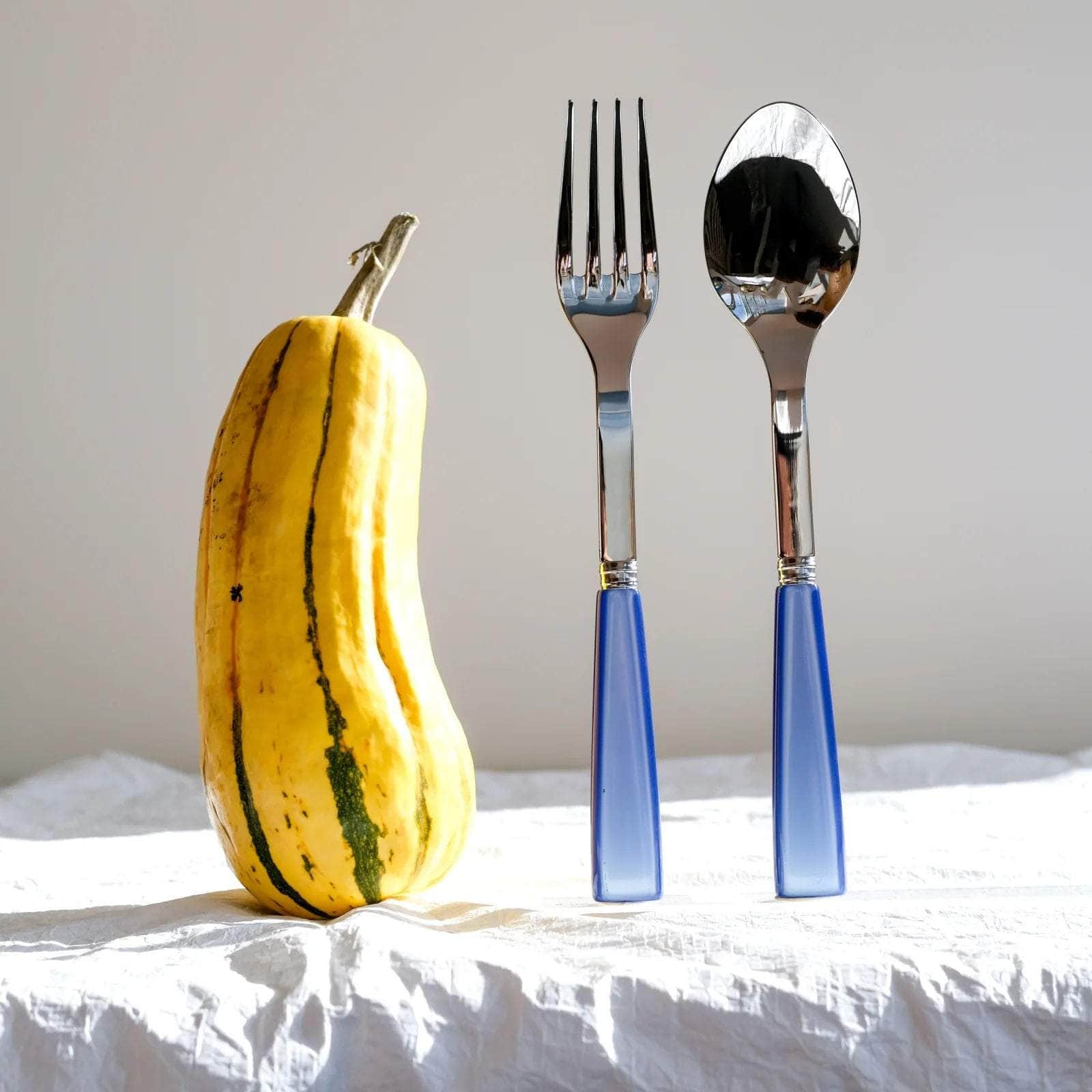 Icône Meat Serving Set, Light Blue