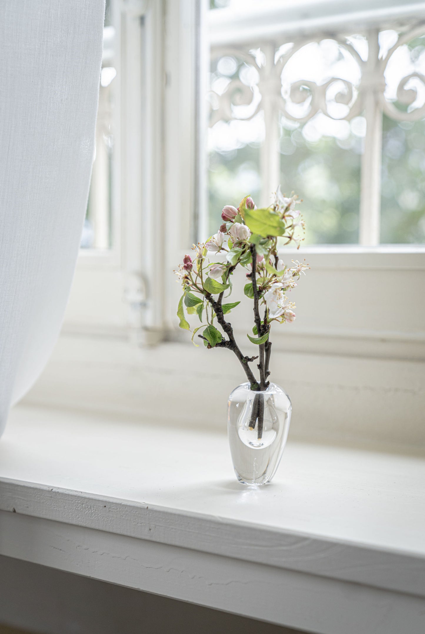 Mouth Blown Vase Liv Clear