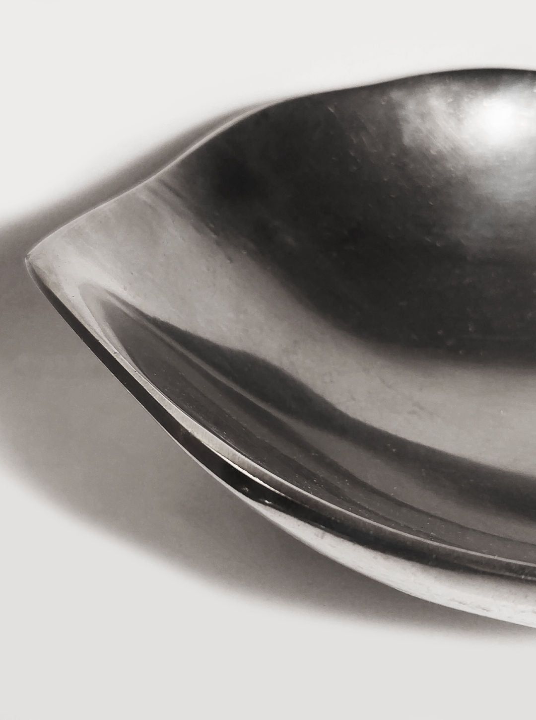 Silver Fish Dish