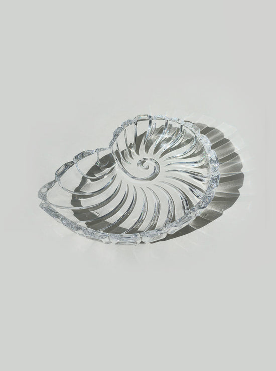 Shell Crystal Vide Poche