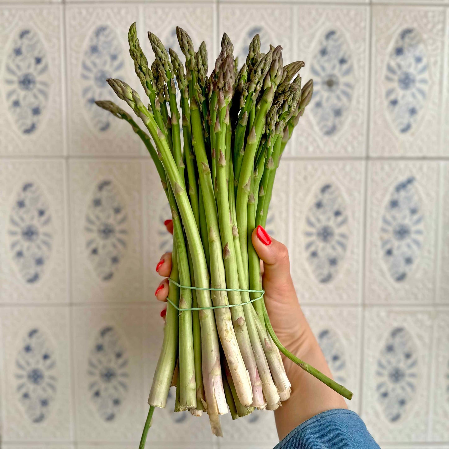 Bunch of Ceramic Asparagus